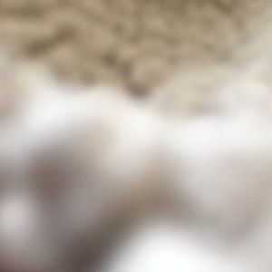 Meet your Posher, Cris